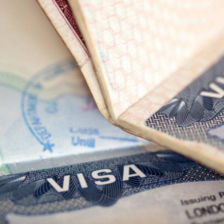 Picture for category Work Visas
